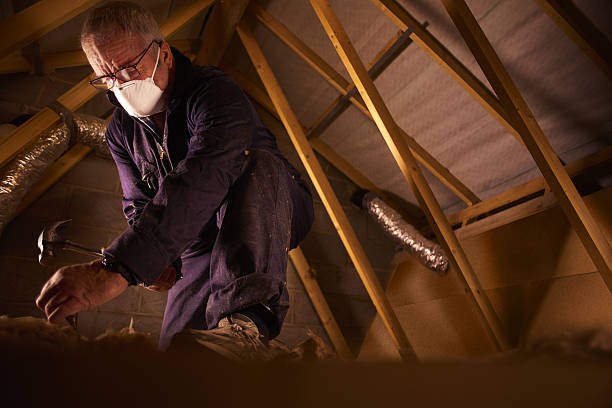 Best Specialized Insulation Services in Lucerne Valley, CA